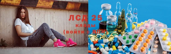 гашик Белоозёрский