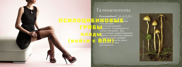2c-b Беломорск