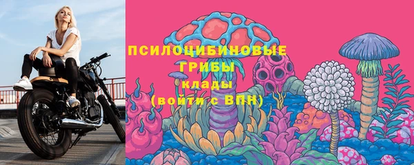 2c-b Беломорск